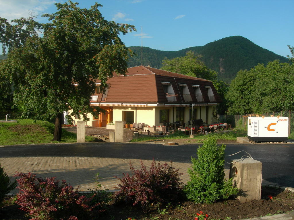 Pensiunea Valea Lupului Valea Lupului  Exterior photo