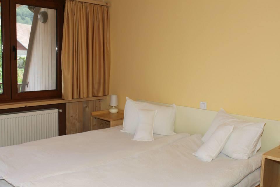 Pensiunea Valea Lupului Valea Lupului  Room photo