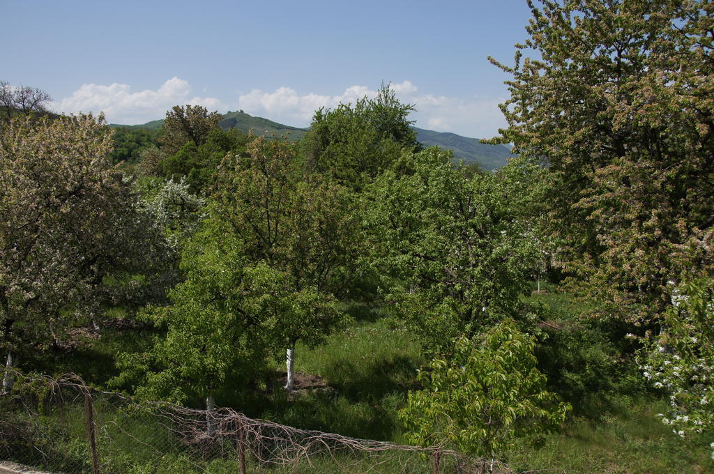 Pensiunea Valea Lupului Valea Lupului  Exterior photo