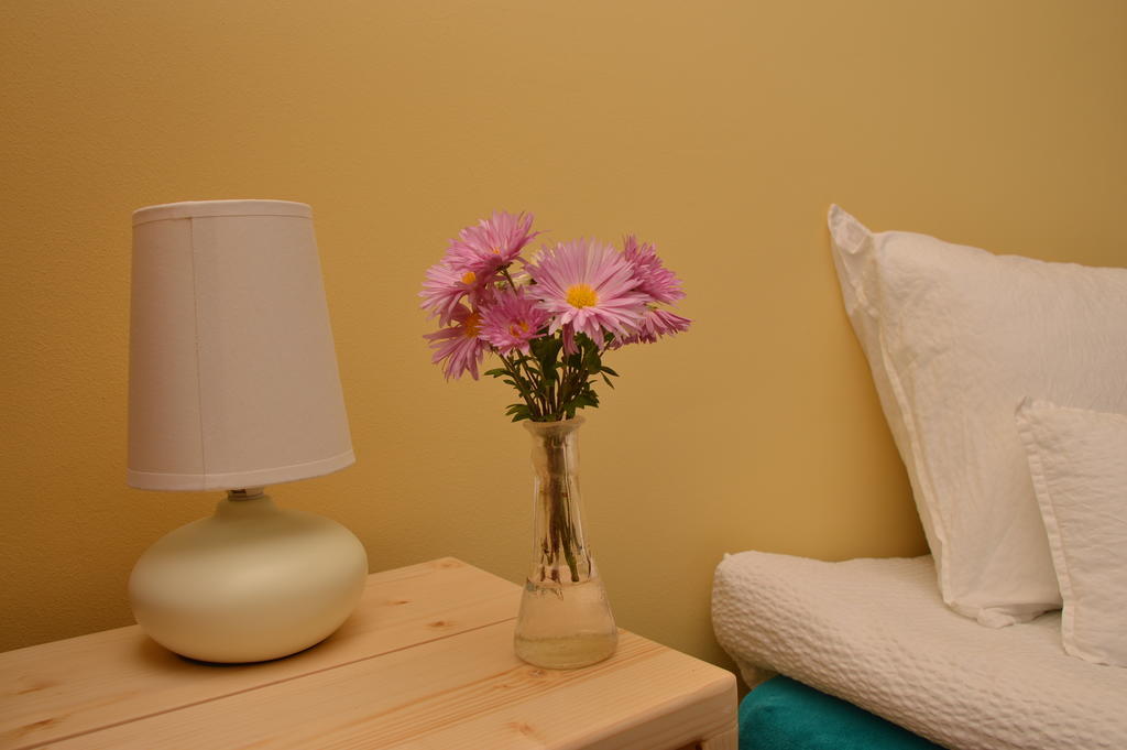 Pensiunea Valea Lupului Valea Lupului  Room photo